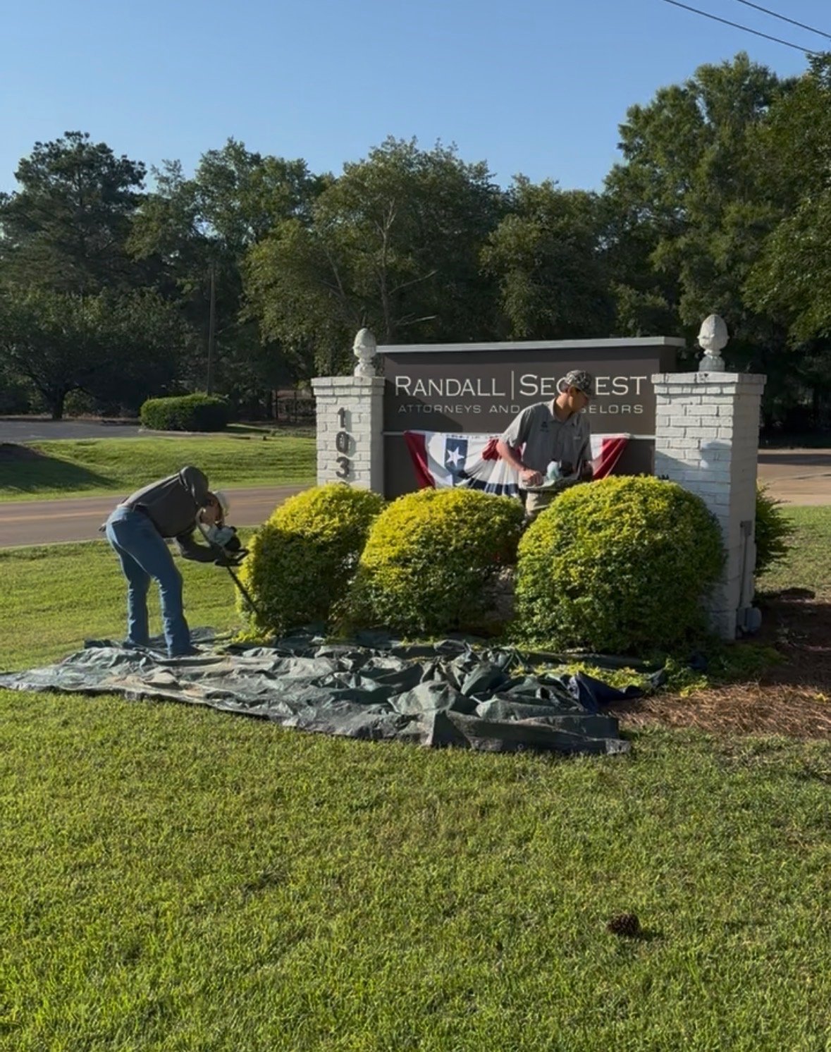 Bush and hedge trimming